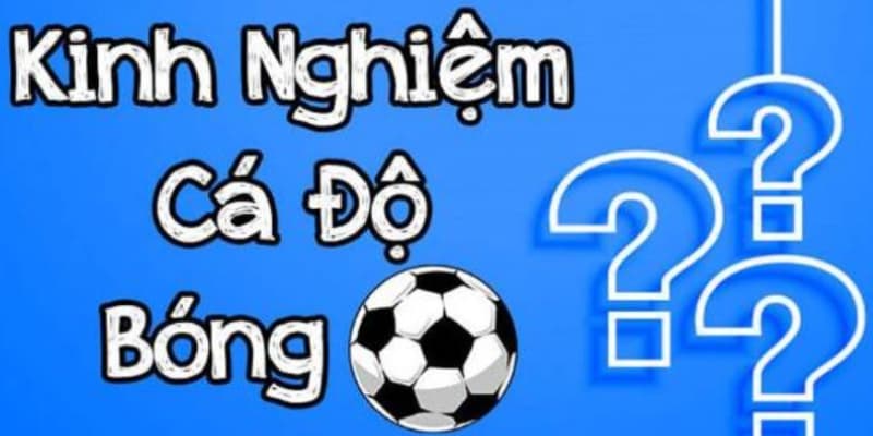 kinh nghiệm chơi cá độ bóng đá Kinh nghiệm chơi cá độ bóng đá