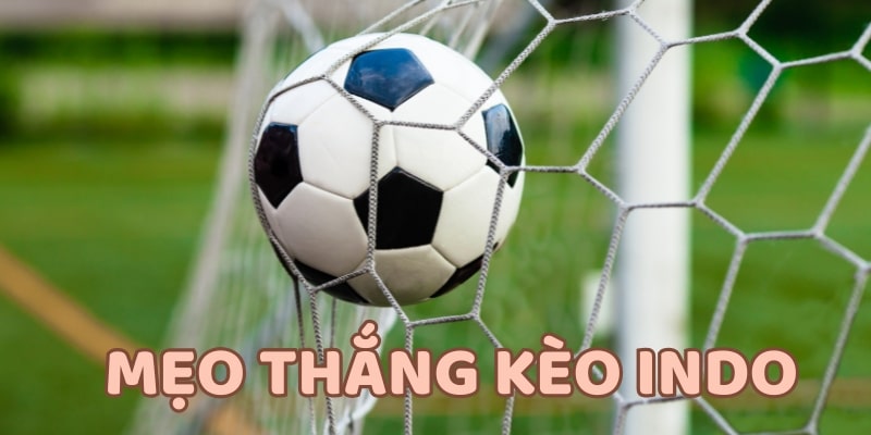 tỷ lệ kèo indonesia Áp dụng mẹo và chiến lược để tăng tỷ lệ thắng kèo Indo