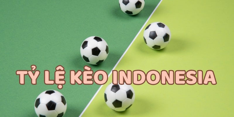 tỷ lệ kèo indonesia Tỷ lệ kèo Indonesia tại CLUBV rất quen thuộc trên bảng hệ thống cược